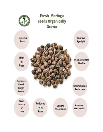 Fresh Moringa Seeds Organically Grown African Herbal Treasures
